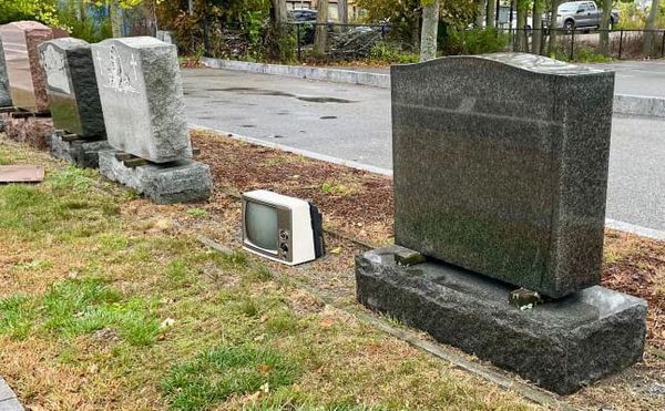 Judges busy ordering grabbed immigrants set free