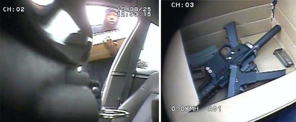 So what about that alligator and that BU Republican who called ICE on the car-wash workers?