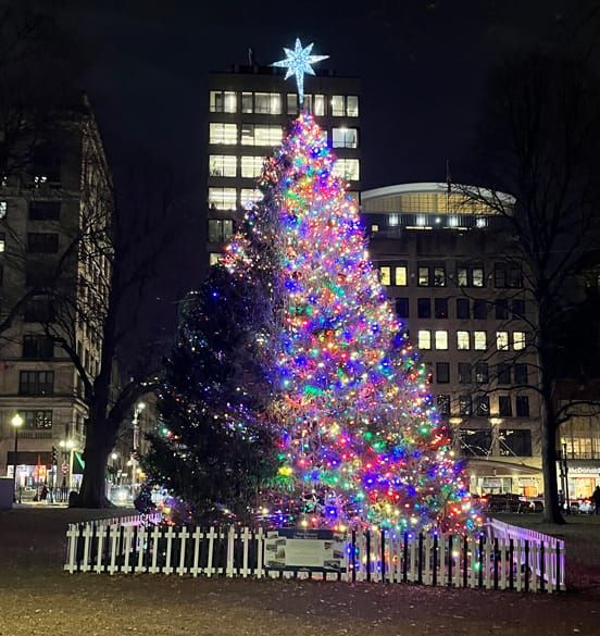 Regime demands Boston stop redlining rich white people