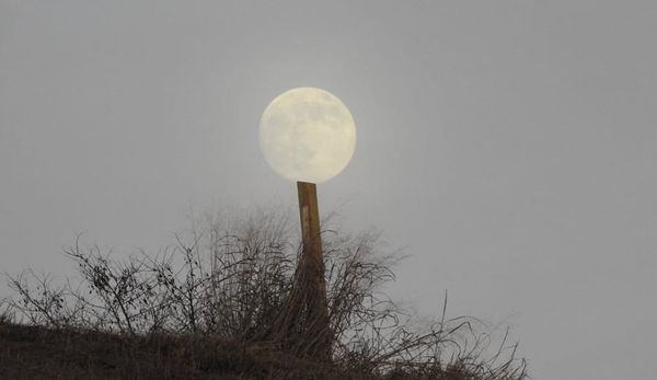 Roslindale pool crisis temporarily averted