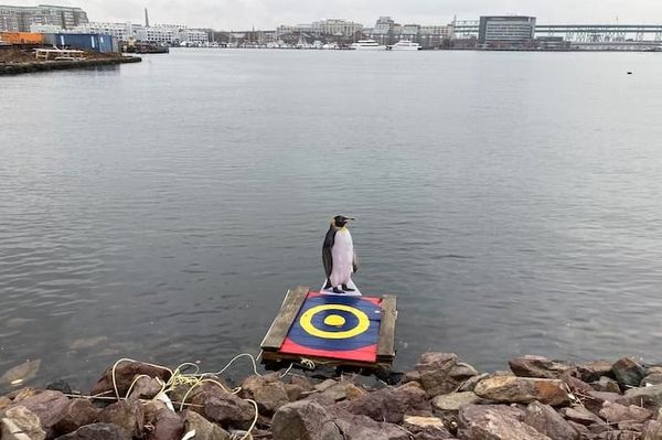 Snow, new apartments proposed, fire, more regime nonsense