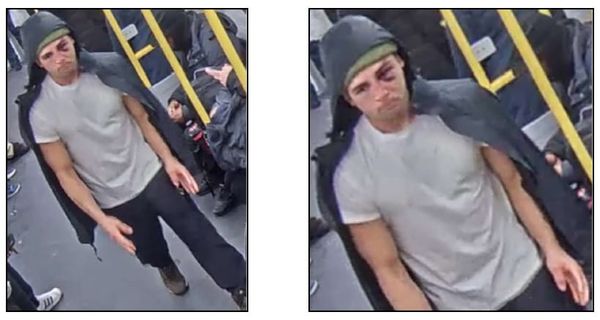 Federal judges rule against regime in immigration cases; scavengers feast at Jamaica Pond