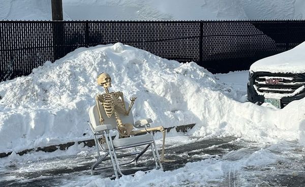 Red Line woes continue; nobody wants to see that Melania movie