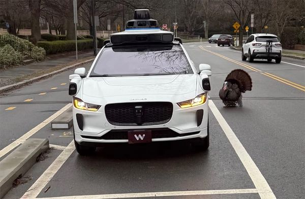 Squirrel shorts out local AM station; Judge blocks half-assed regime college data demand