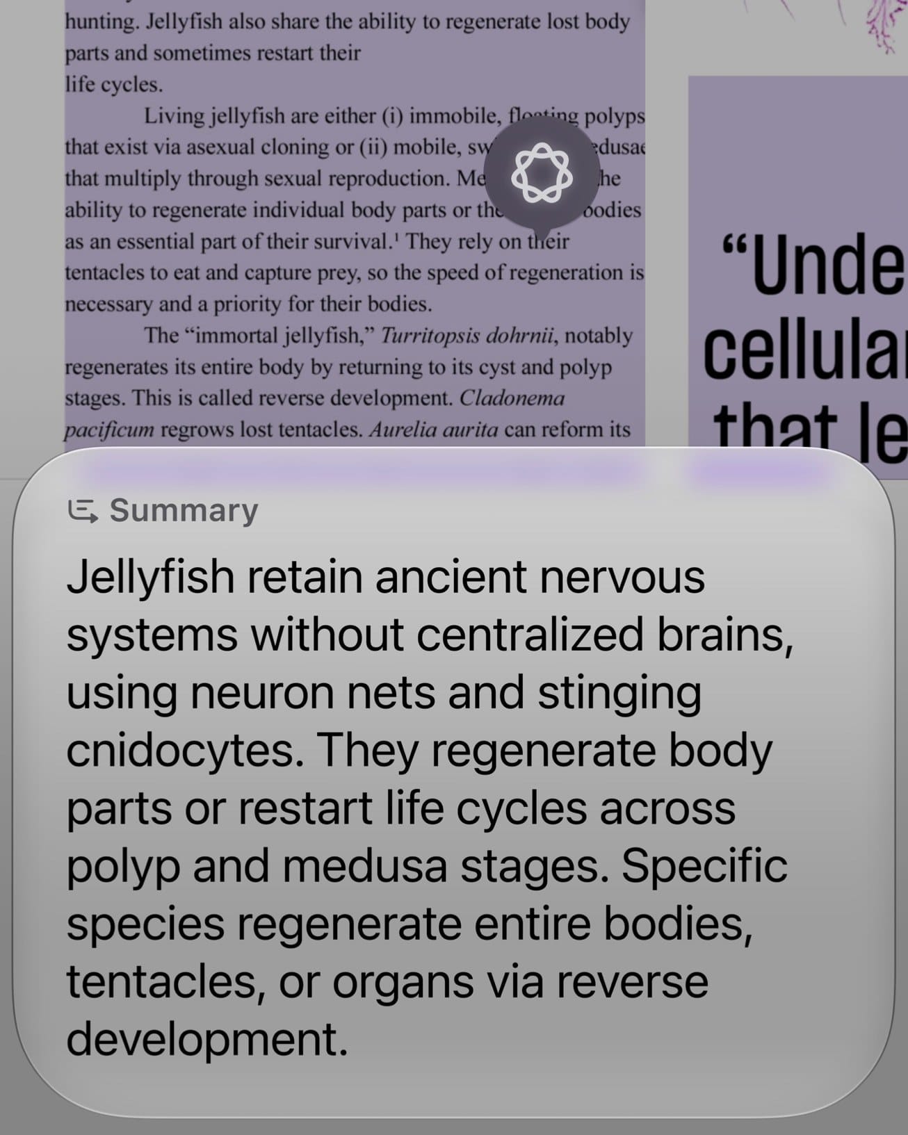 Siri AI answering a question about content displayed on an iPhone screen in iOS 27