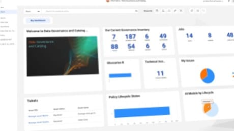 Informatica Cloud Data Governance and Catalog product visual