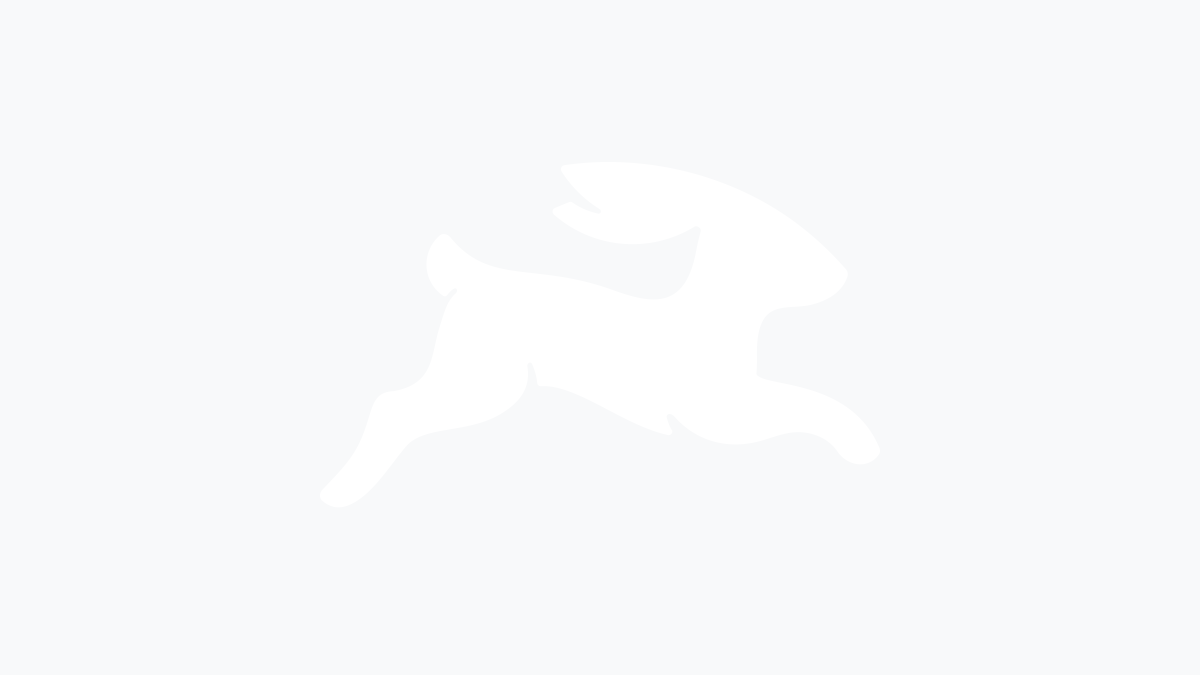 Directus logo