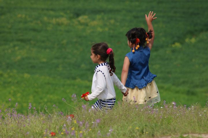 Two little children holding hands in a flowery meadow