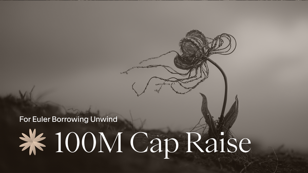 USDai $100m Cap Raise for Euler Unwind