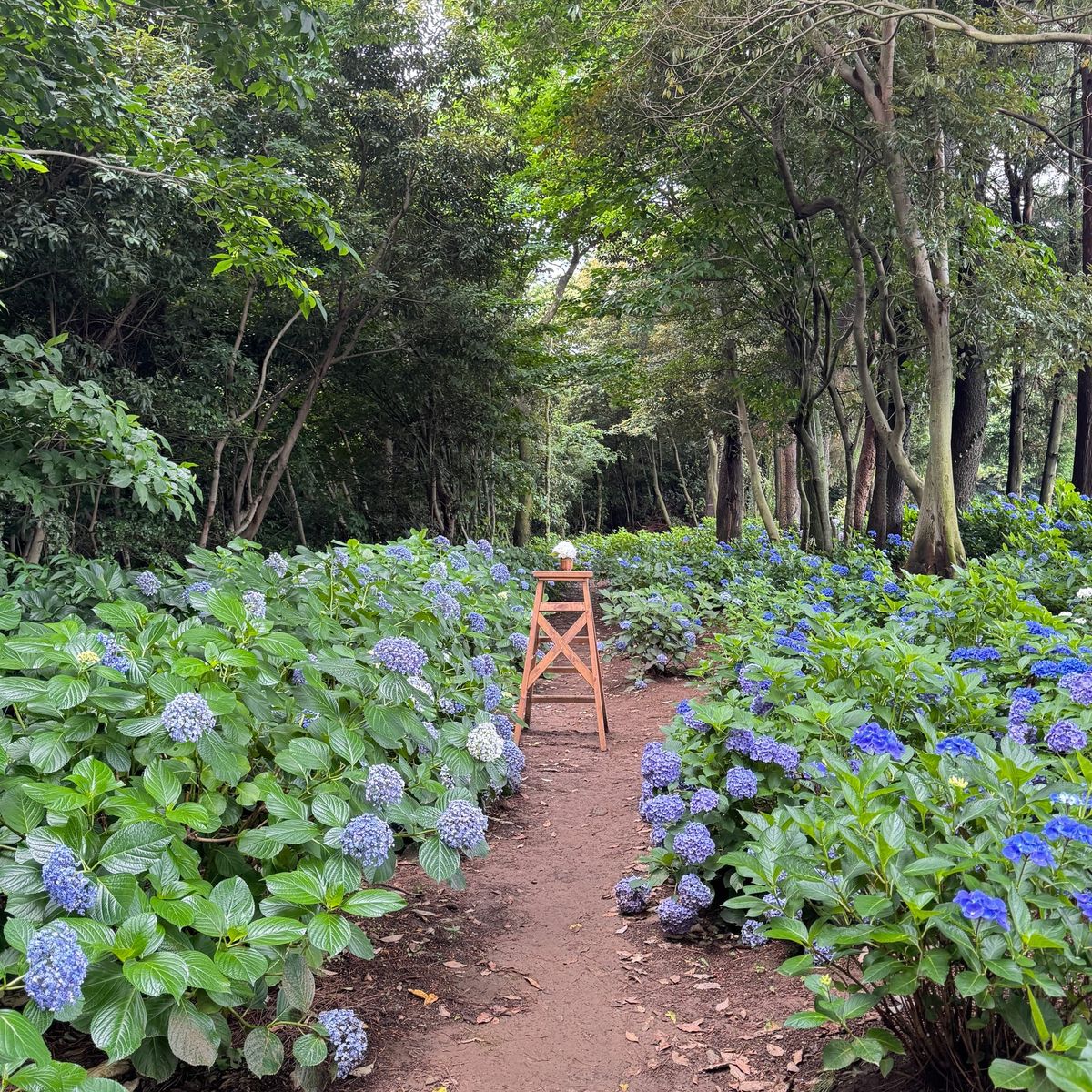 제주의 숨겨진 보석, 서귀포 '숨도'에서 찾은 진정한 힐링