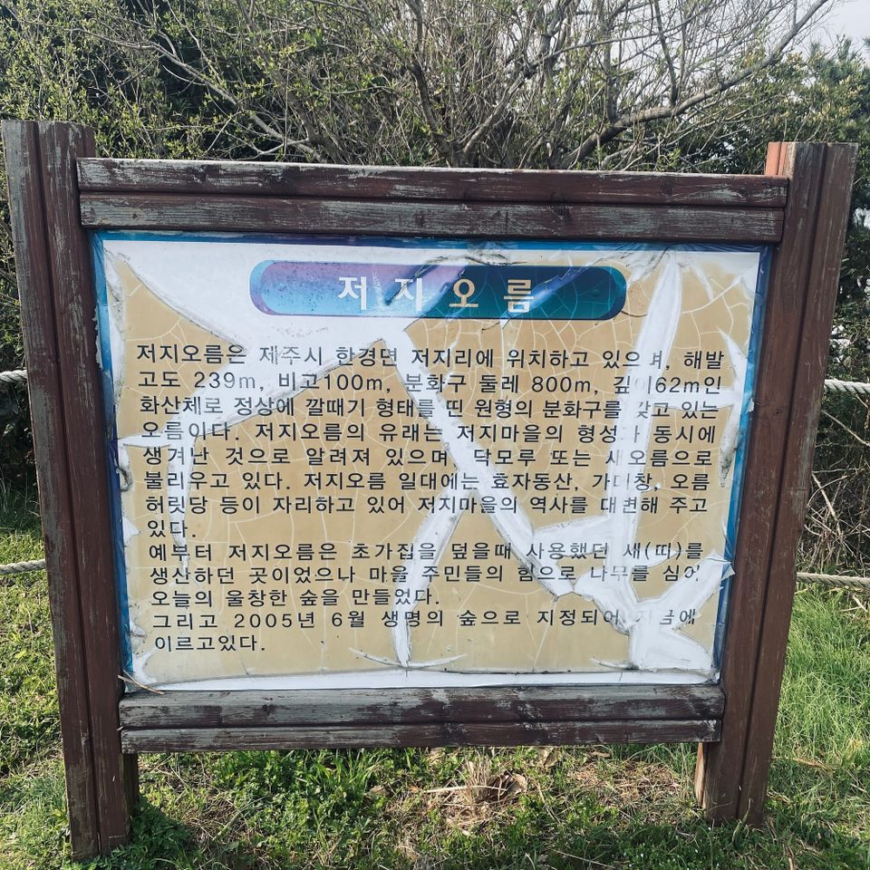 저지오름 — 계단 너머에 남아 있는 오름의 시간