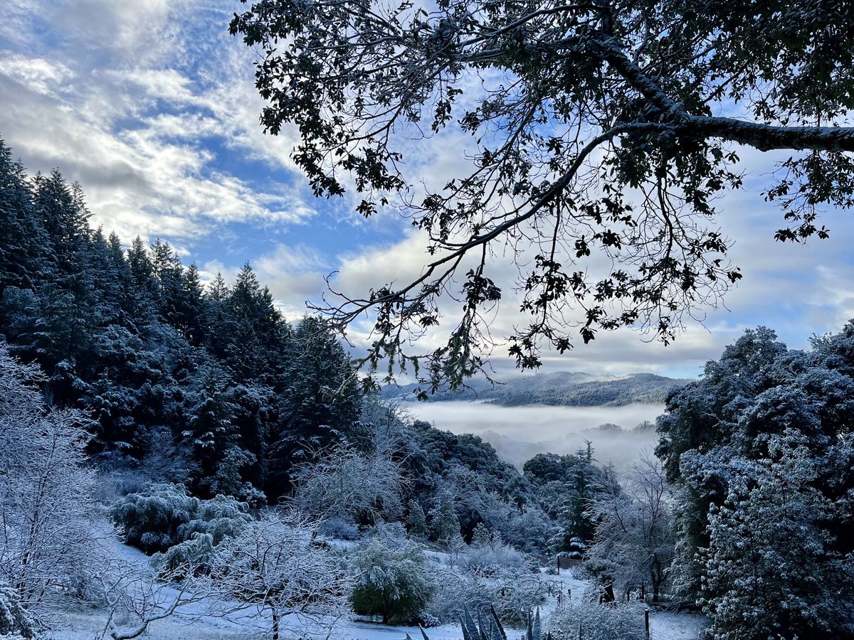 A snow-globe weekend