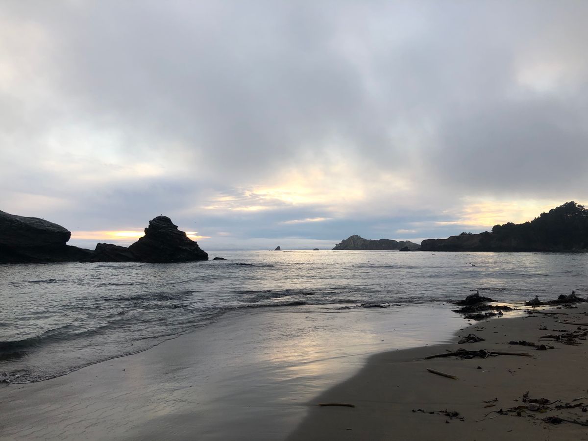 Wild swimming in the fading light
