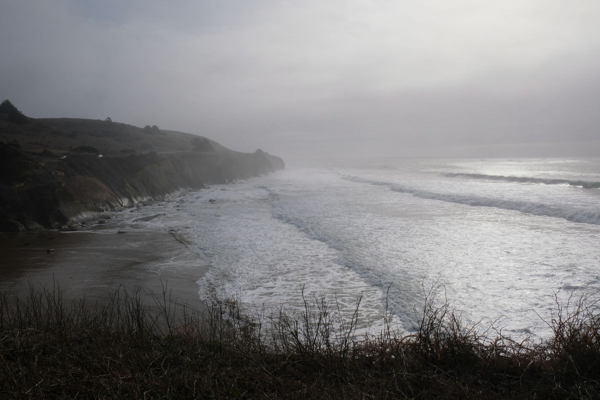 The bobcat leaping across Highway 1