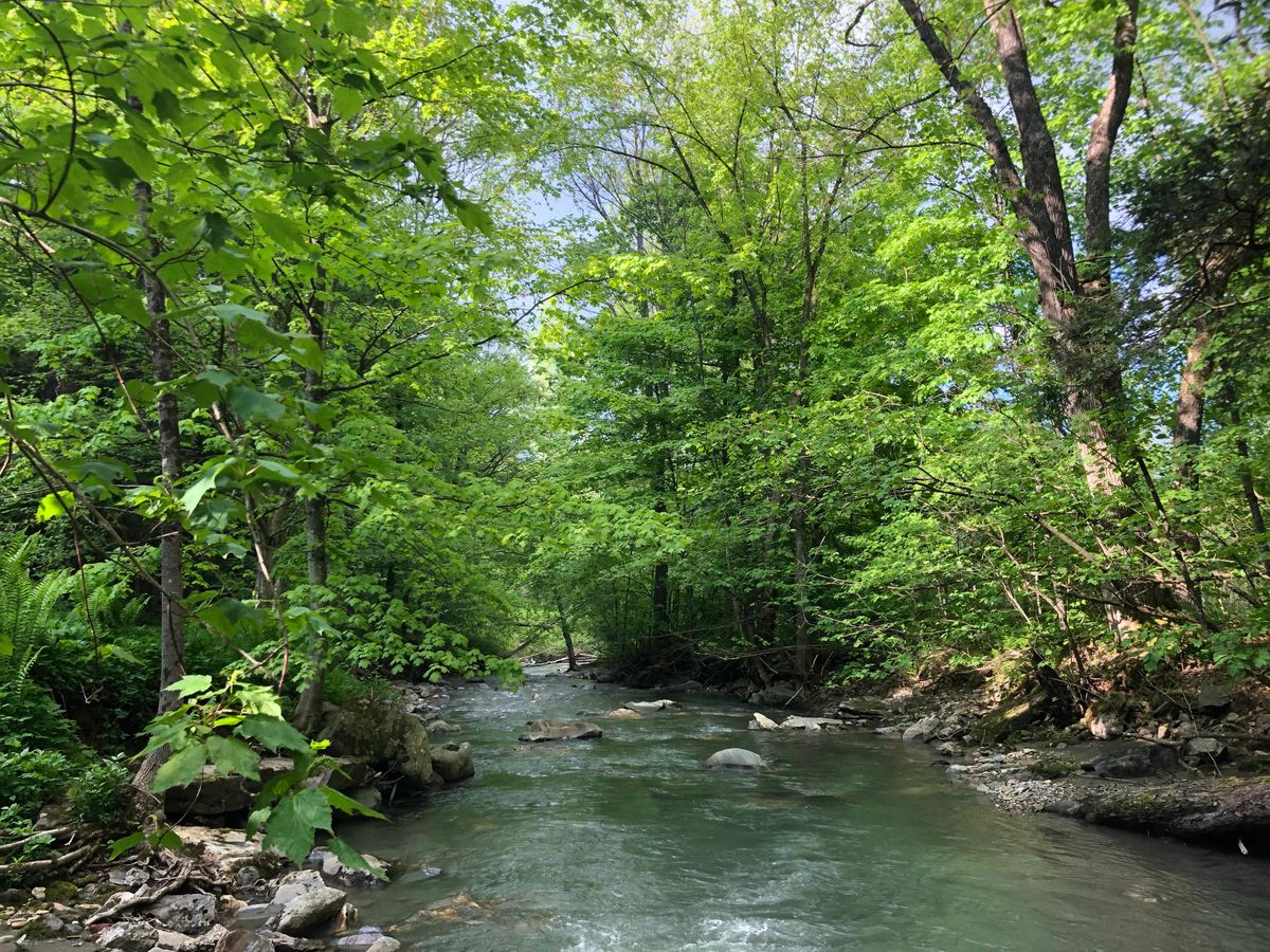 But why do the barns have stars on them?*