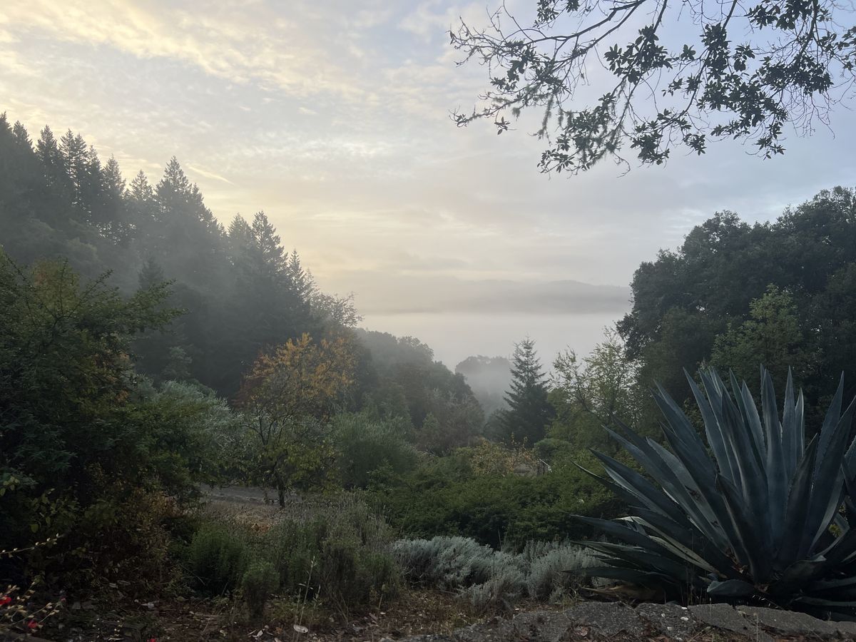 The other end of autumn