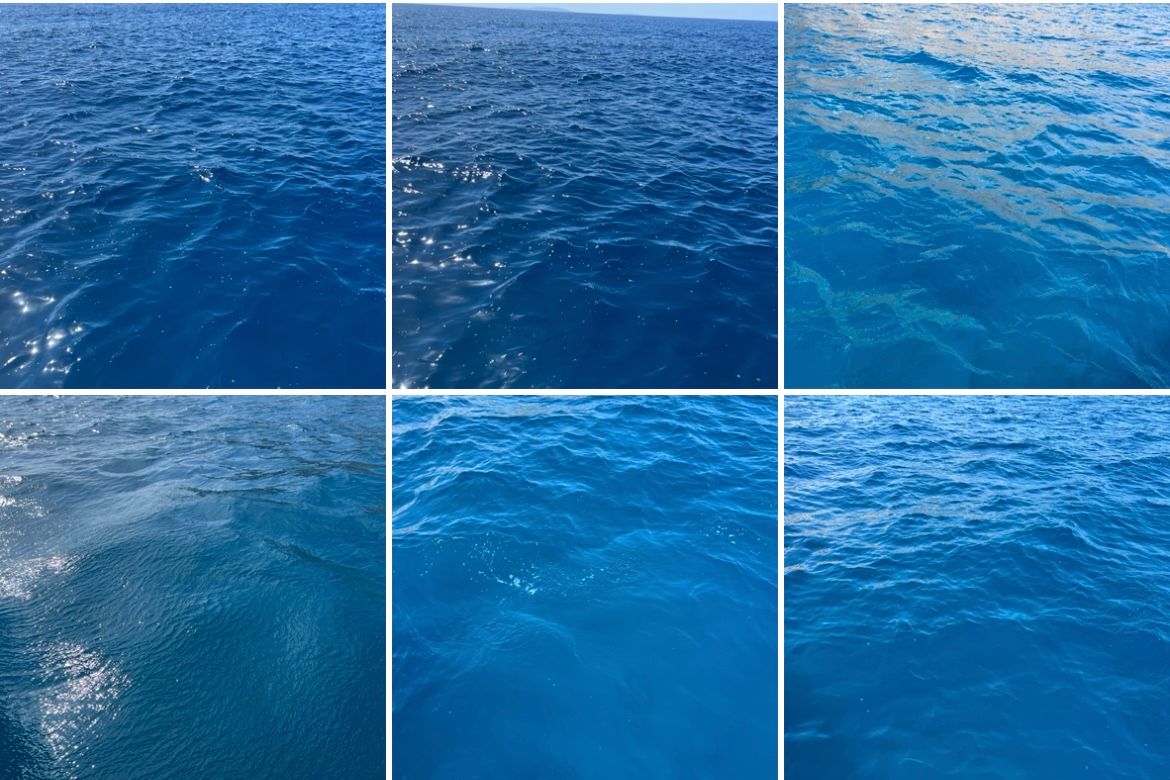 All the kinds of blue