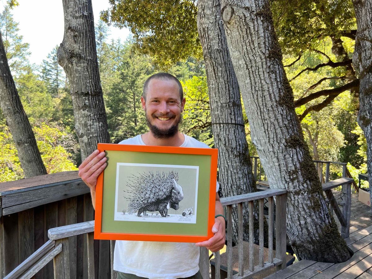 Home is where the art is