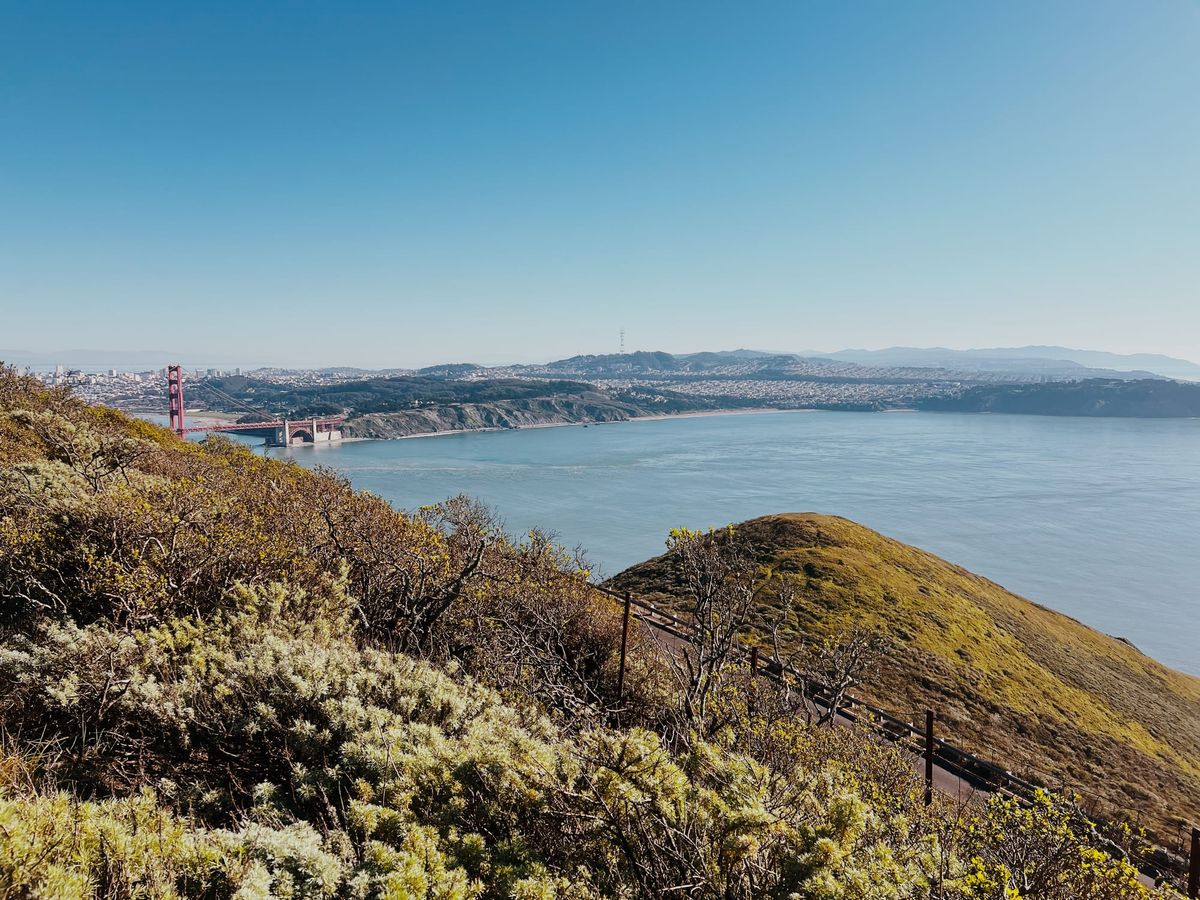 California flaunts herself