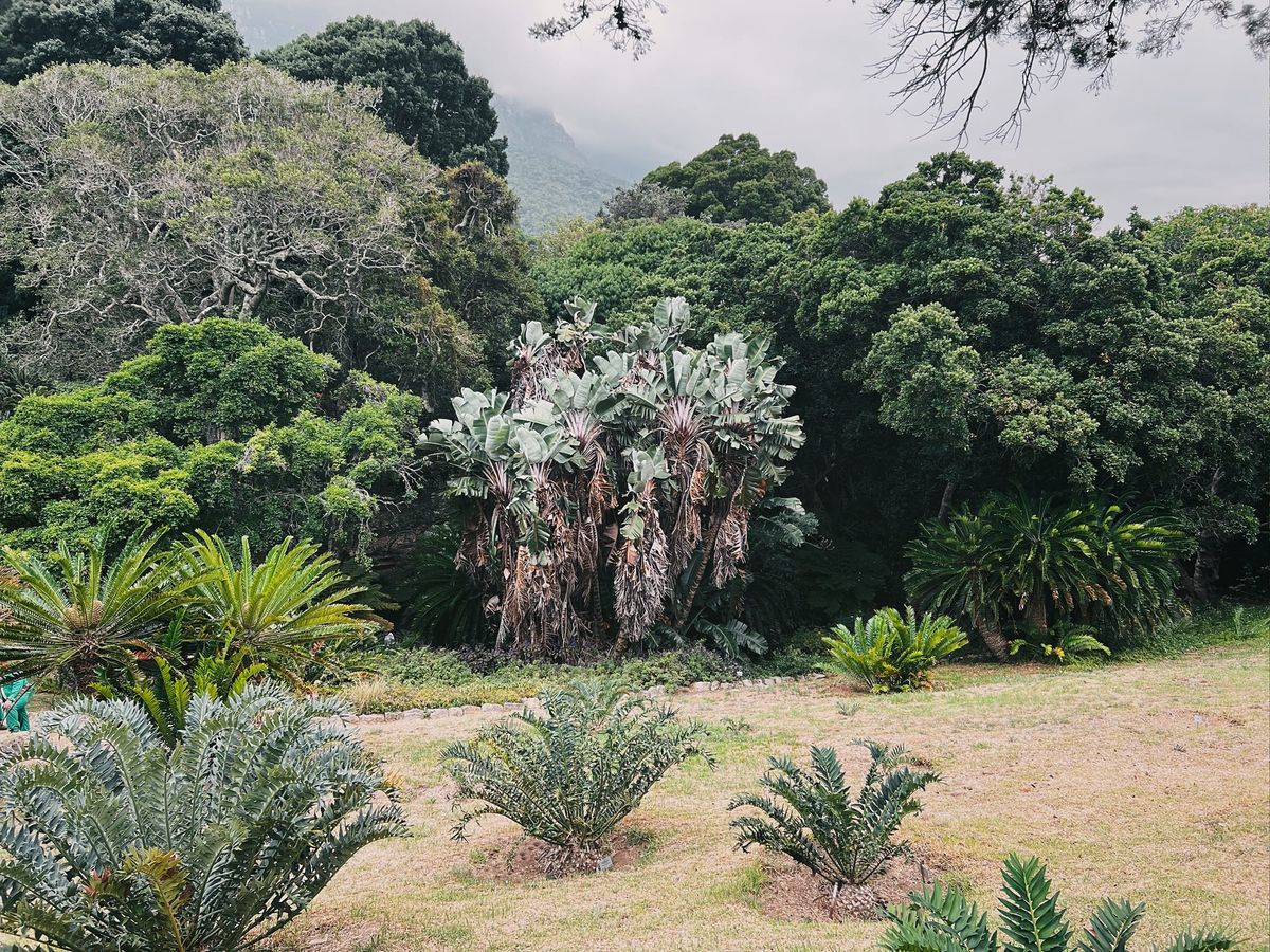 the kiepersols will see you now