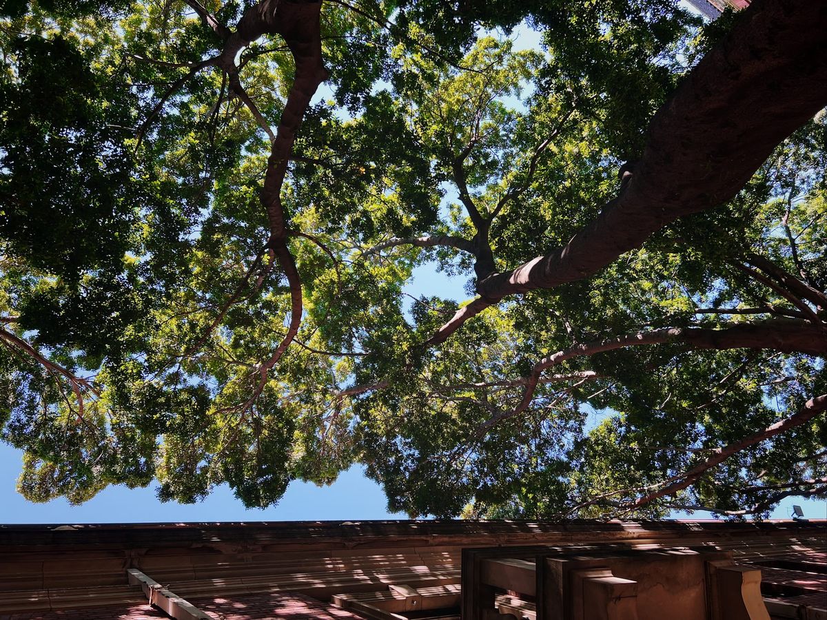 when looking up is like opening a window