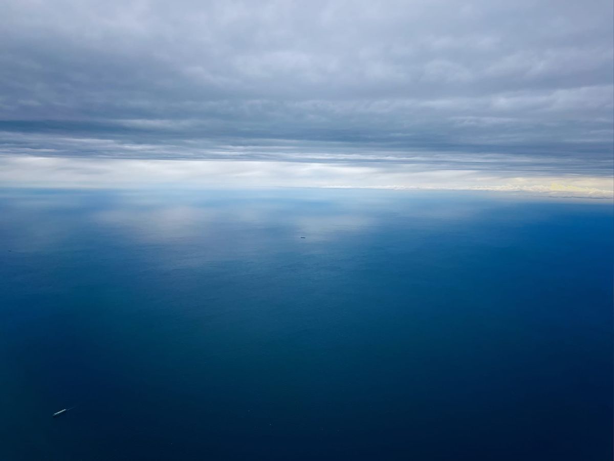 the early dark