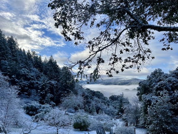 A snow-globe weekend