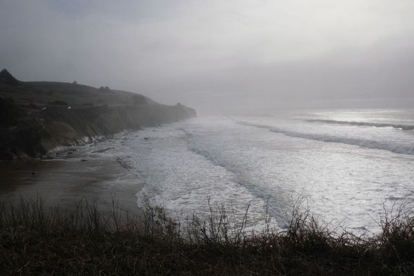 The bobcat leaping across Highway 1