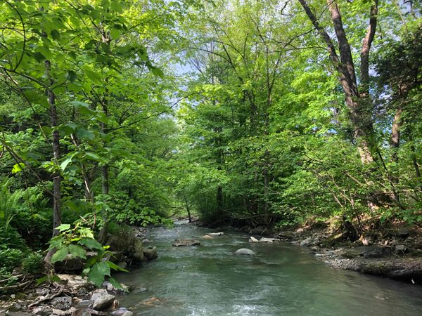 But why do the barns have stars on them?*