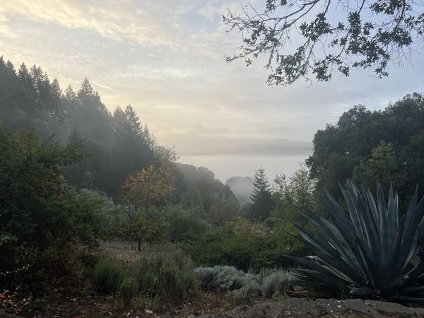 The other end of autumn