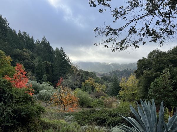 Mohair sweater weather