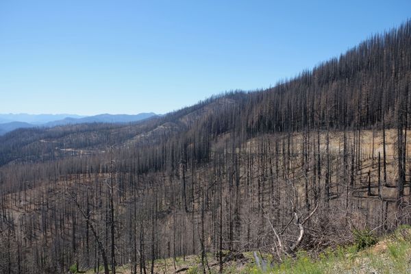 Taking the road to Happy Camp