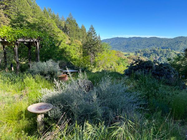 Meeting ourselves where we are