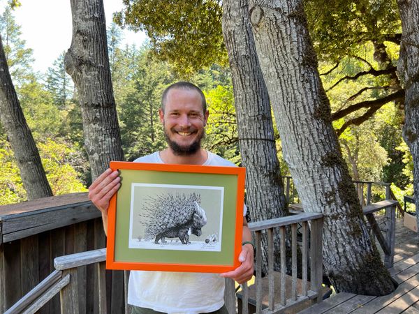 Home is where the art is