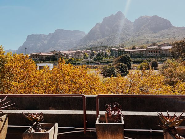 scenes from a campus story