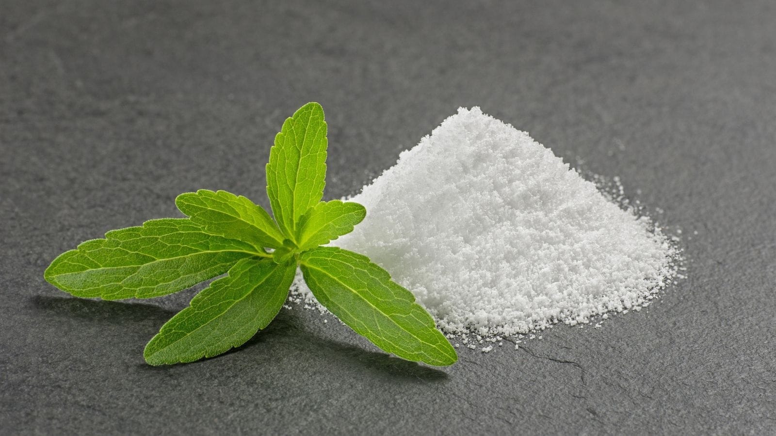 Groene stevia