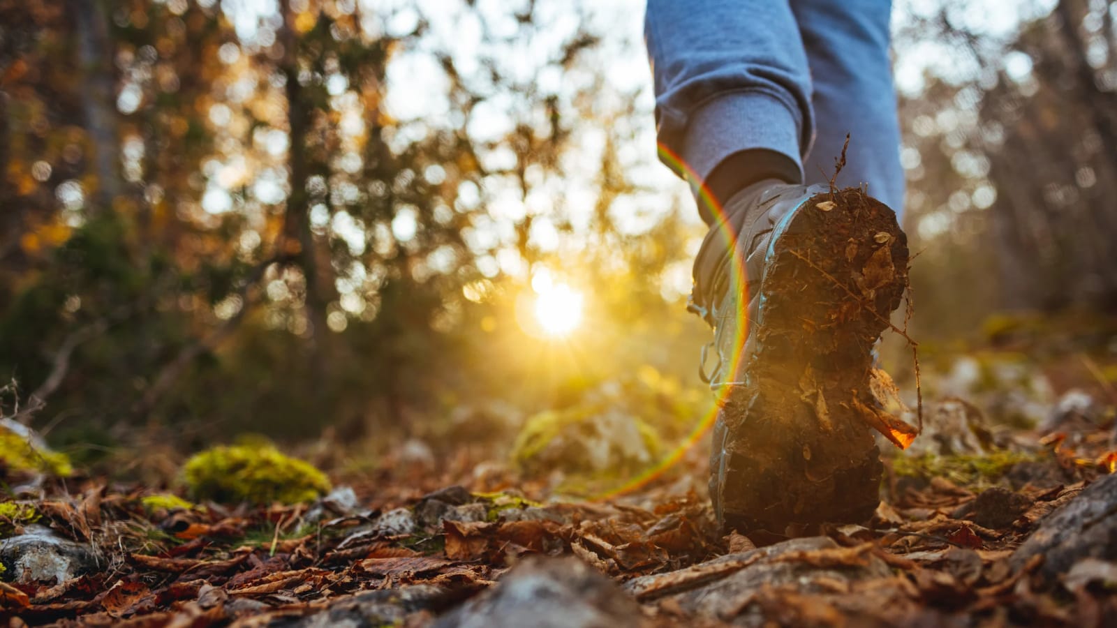 Bewegen zoals wandelen helpt om je te herstellen en te vermeerderen