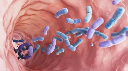 Je microbioom: hoever staan we vandaag?