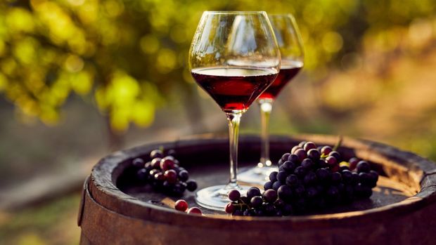 Alles wat je moet weten over alcohol
