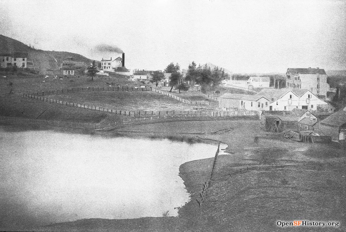 Cole Valley in 1890s, with large pond in the foreground and dairies in the distance.