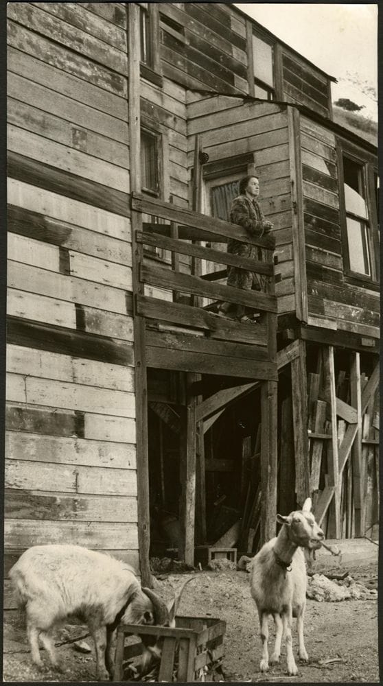 Estelle West and goats
