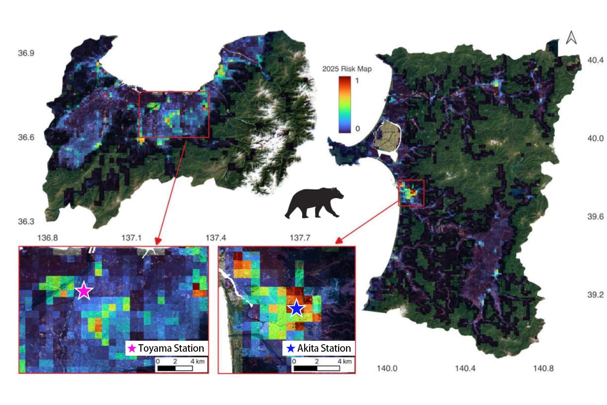 06-tokyo-iis-bear-attack-model.jpg