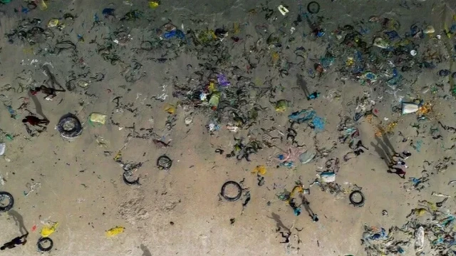 13-jamstec-deep-litter-ai-ocean-floor.png