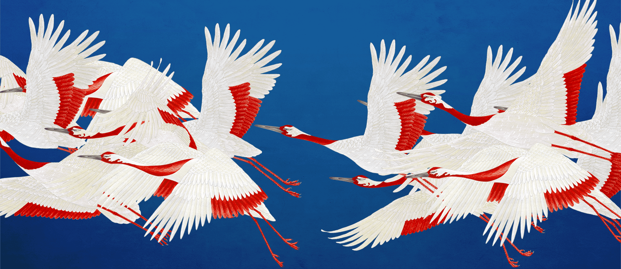 Japan Space Strategy Fund logo  Credit: JAXA