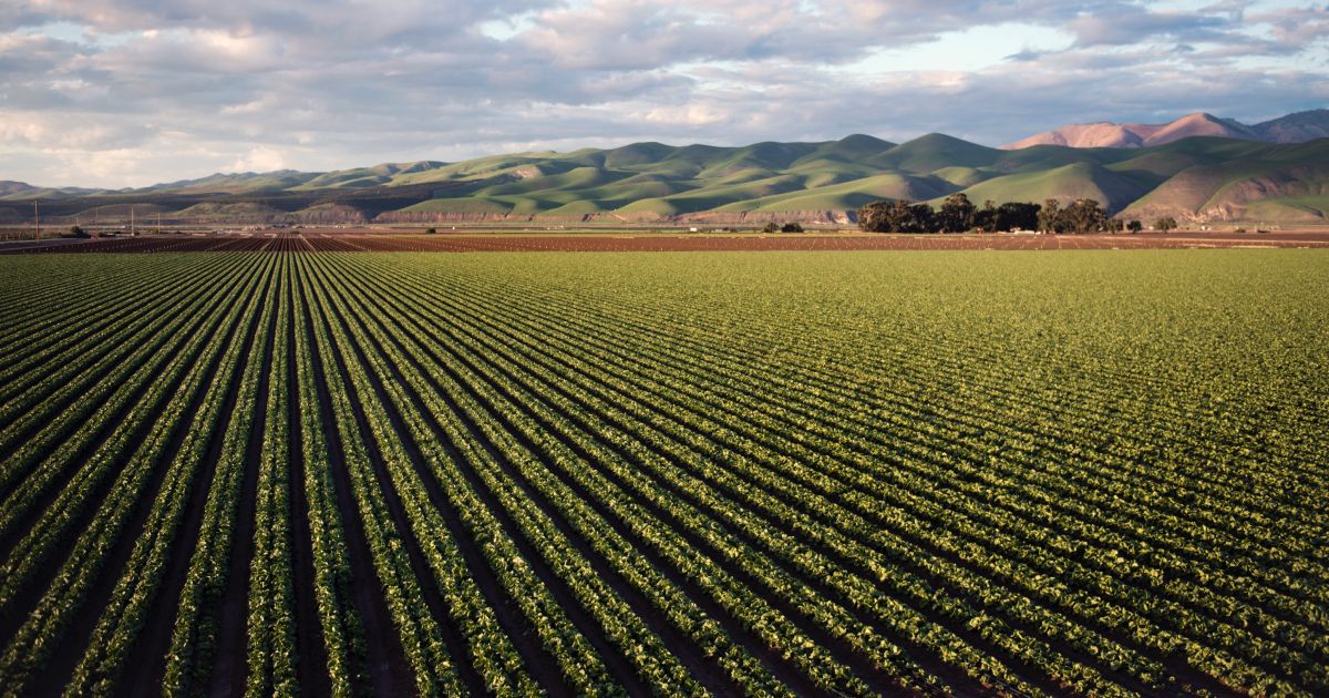 Cosmico - Precision Agriculture and Crop Management