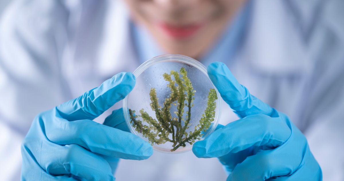 Cosmico - Nanotechnology in Medical Devices