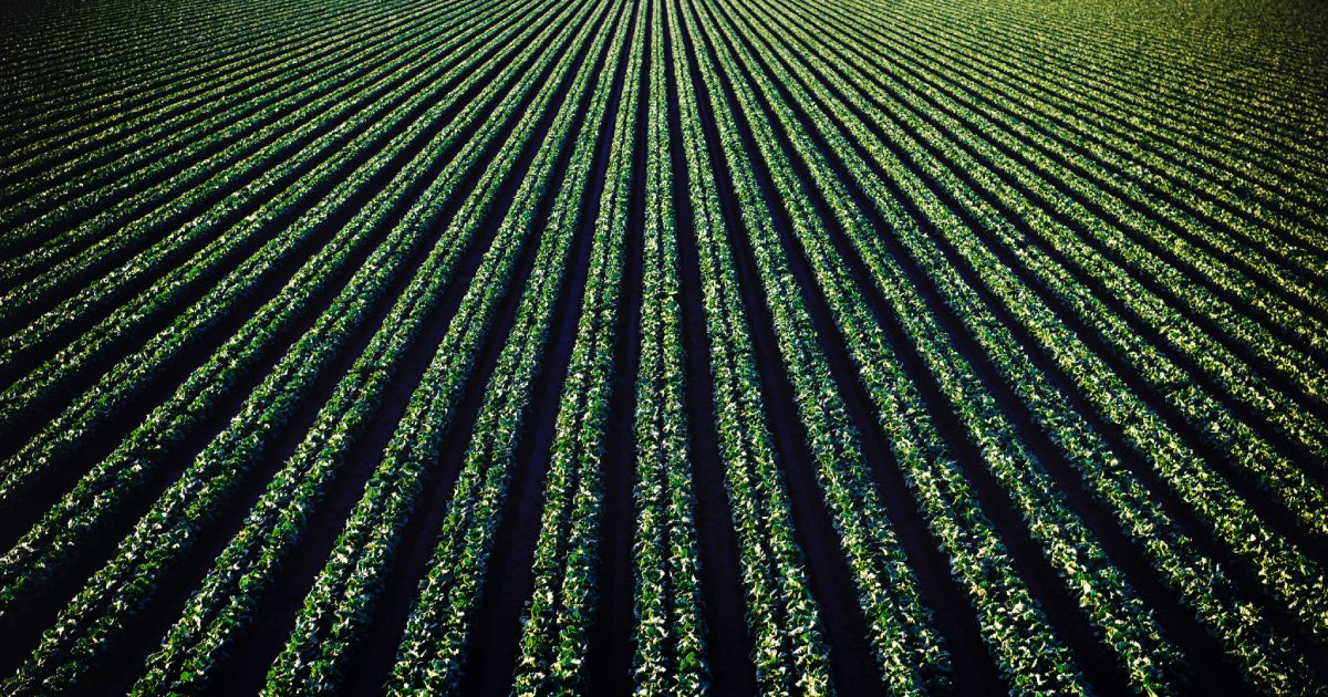 Cosmico - Scalability