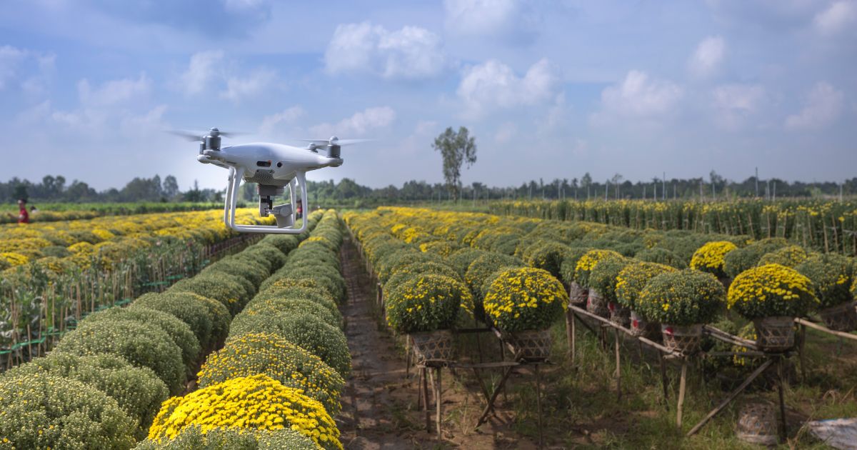 Cosmico - Drones and Remote Sensing: Eyes in the Sky