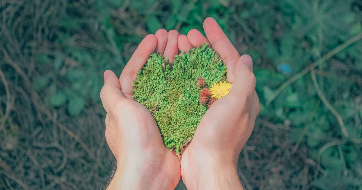 Cosmico - Environmental Biotechnology and Bioremediation