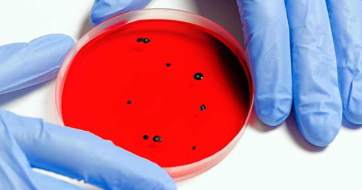 Cosmico - Personalized Medicine and Genomics